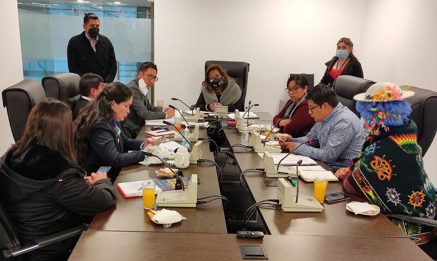 Comisión de Diputados aprueba proyecto de ley en favor de huérfanos víctimas de feminicidio